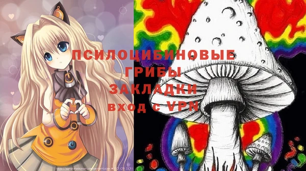 герыч Богородск