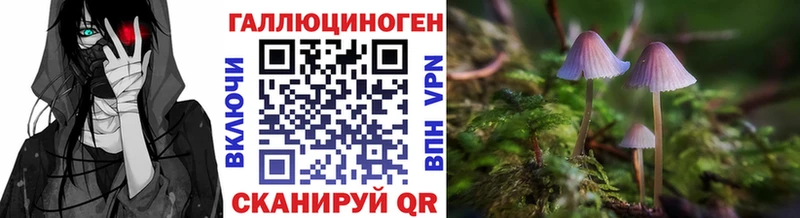 Псилоцибиновые грибы Psilocybine cubensis  как найти закладки  Дзержинский 